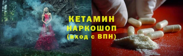 шишки Дмитриев
