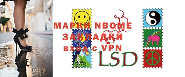 шишки Дмитриев