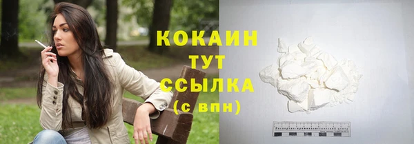 соль курить ск Дмитровск