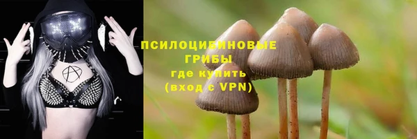 дмт Осинники