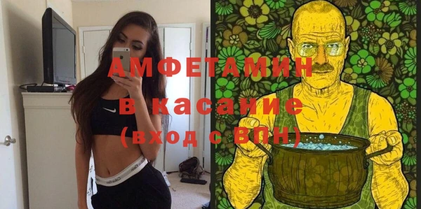 шишки Дмитриев