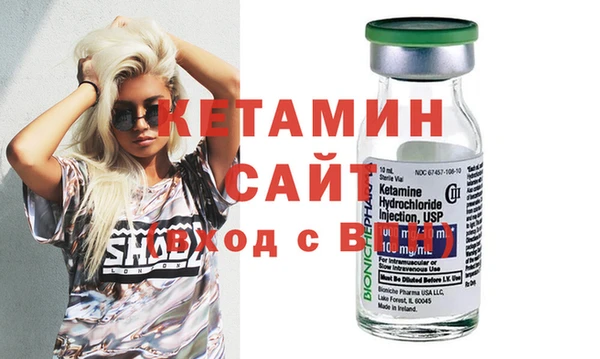 шишки Дмитриев
