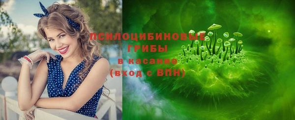 соль курить ск Дмитровск
