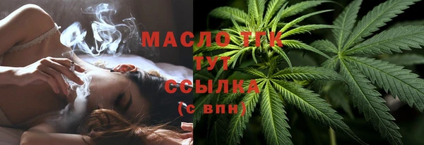 шишки Дмитриев