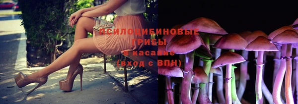соль курить ск Дмитровск